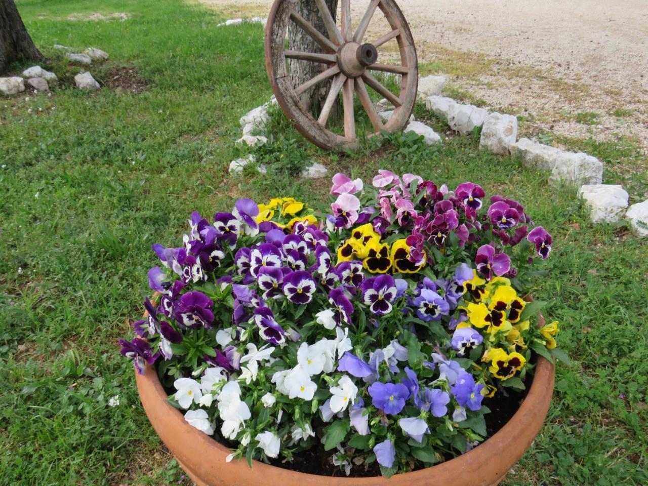 Agriturismo San Martino Foligno Extérieur photo