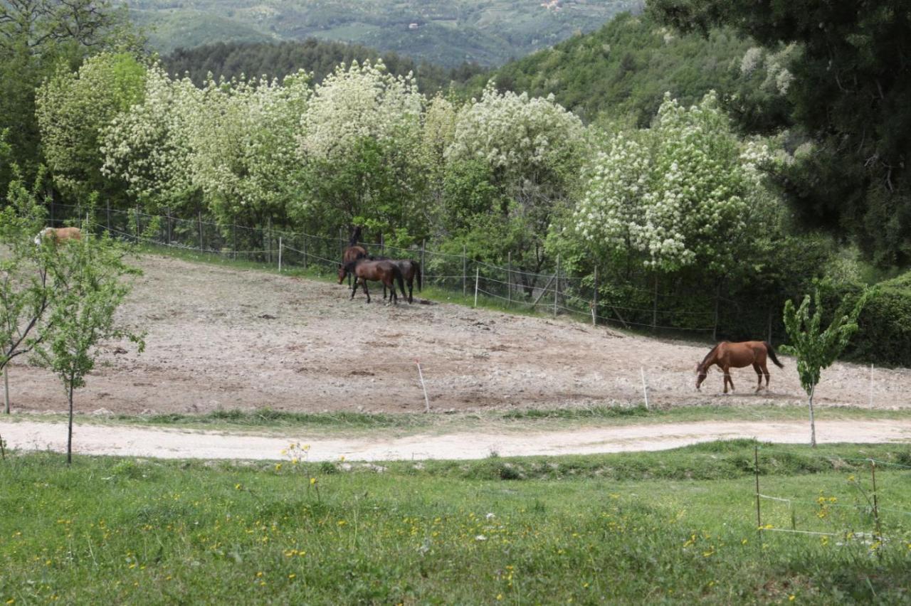 Agriturismo San Martino Foligno Extérieur photo